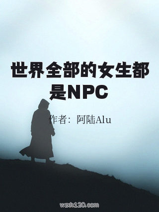 世界全部的女生都是NPC