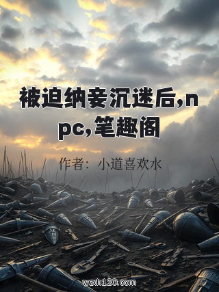 被迫纳妾沉迷后,npc,笔趣阁