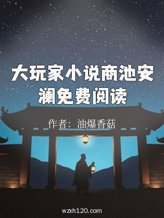 大玩家小说商池安澜免费阅读