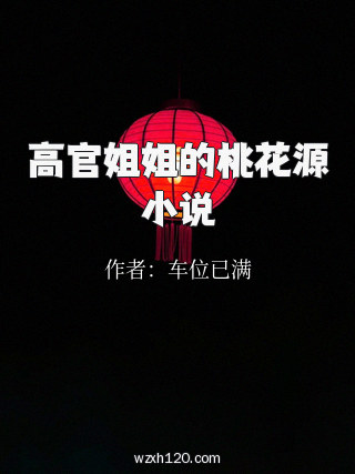 高官姐姐的桃花源小说