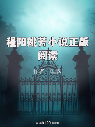 程阳姚芳小说正版阅读