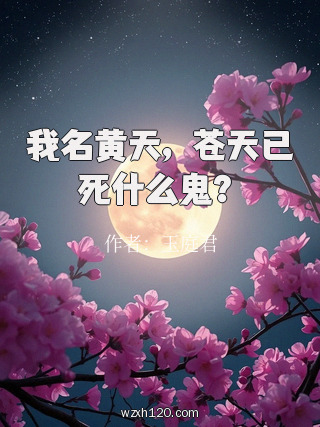 我名黄天,苍天已死什么鬼?