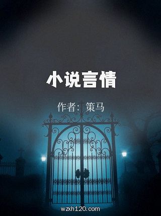 小说言情