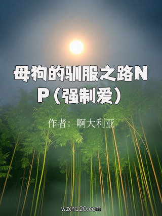 母狗的驯服之路NP(强制爱)