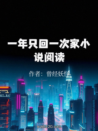 一年只回一次家小说阅读
