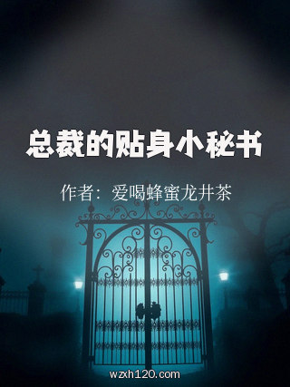 总裁的贴身小秘书