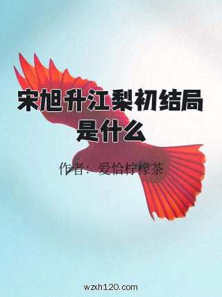 宋旭升江梨初结局是什么
