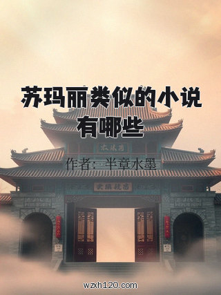 苏玛丽类似的小说有哪些