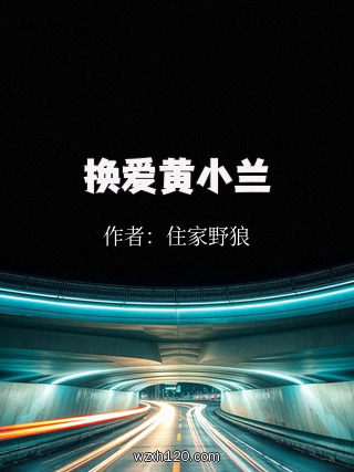 换爱黄小兰