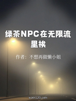绿茶NPC在无限流里挨