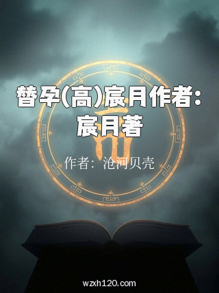替孕(高)宸月作者:宸月著