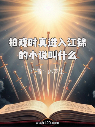 拍戏时真进入江锦的小说叫什么