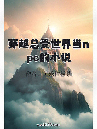 穿越总受世界当npc的小说