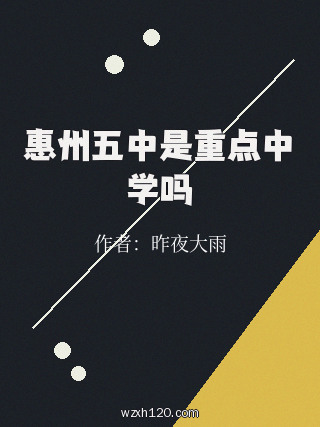 惠州五中是重点中学吗