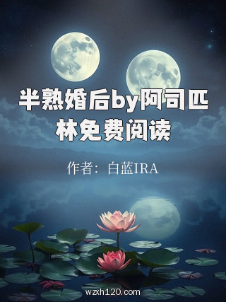 半熟婚后by阿司匹林免费阅读