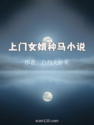 上门女婿种马小说