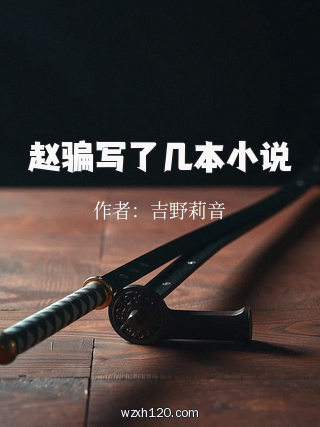赵骗写了几本小说