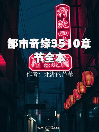 都市奇缘3510章节全本
