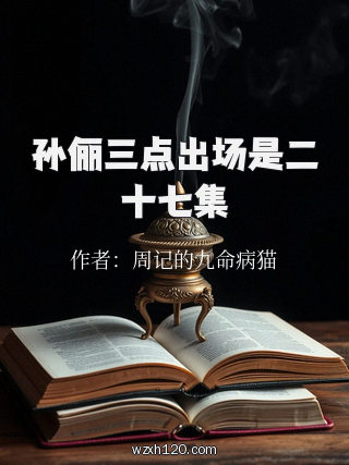 孙俪三点出场是二十七集