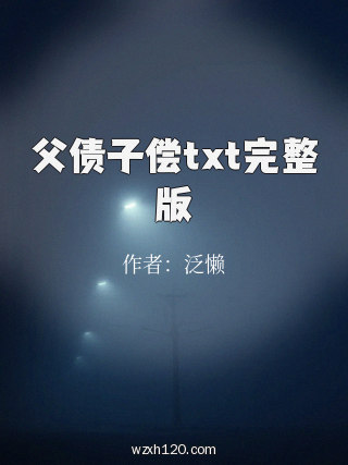 父债子偿txt完整版