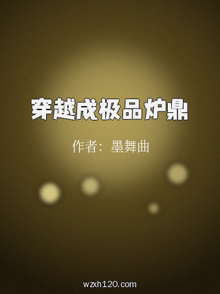 穿越成极品炉鼎