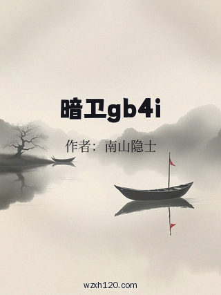 暗卫gb4i