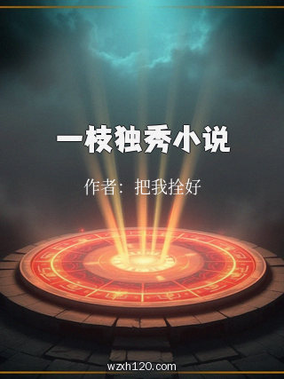 一枝独秀小说
