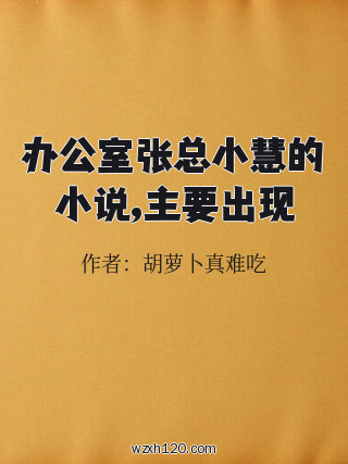 办公室张总小慧的小说,主要出现