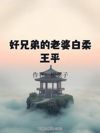 好兄弟的老婆白柔王平