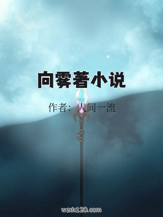 向雾著小说