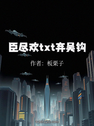 臣尽欢txt弃吴钩