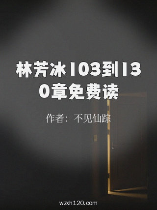 林芳冰103到130章免费读