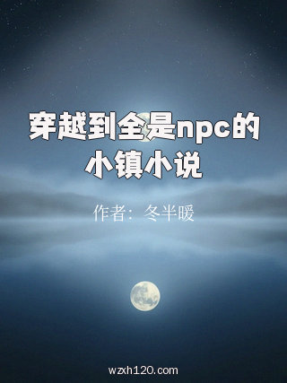 穿越到全是npc的小镇小说