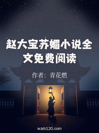 赵大宝苏媚小说全文免费阅读
