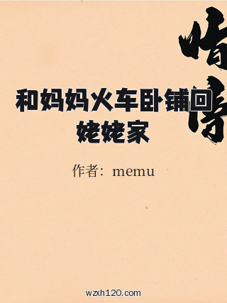 和妈妈火车卧铺回姥姥家