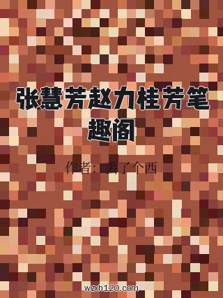 张慧芳赵力桂芳笔趣阁