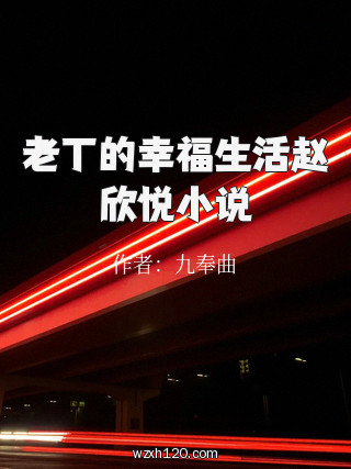 老丁的幸福生活赵欣悦小说