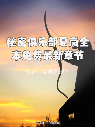 秘密俱乐部夏岚全本免费最新章节