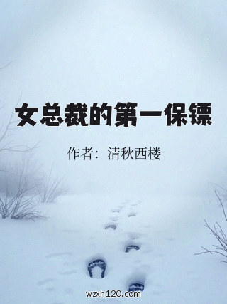 女总裁的第一保镖