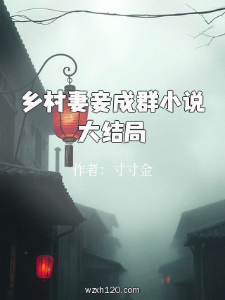 乡村妻妾成群小说大结局