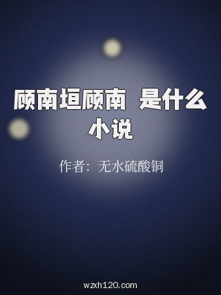 顾南垣顾南玥是什么小说