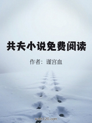共夫小说免费阅读