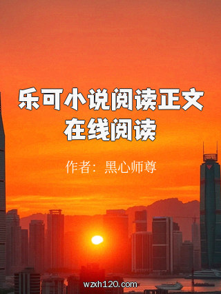 乐可小说阅读正文在线阅读