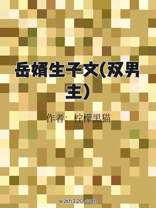 岳婿生子文(双男主)