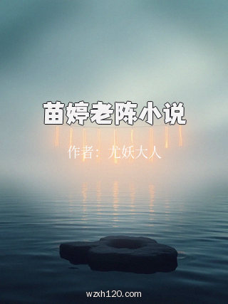 苗婷老陈小说