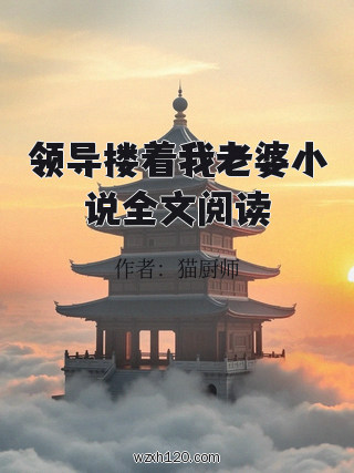 领导搂着我老婆小说全文阅读