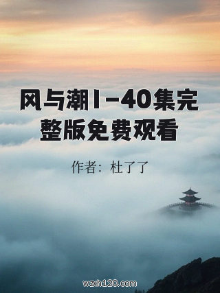 风与潮1-40集完整版免费观看