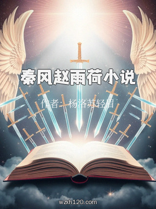 秦风赵雨荷小说