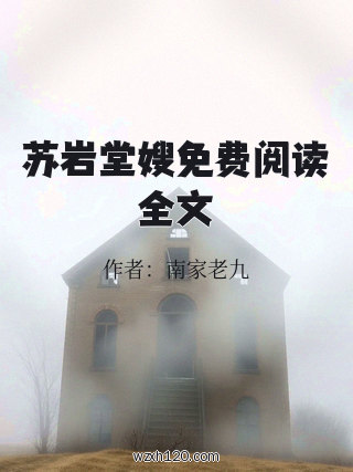 苏岩堂嫂免费阅读全文