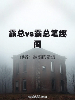 霸总vs霸总笔趣阁